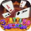 rummy wealth 2 logo